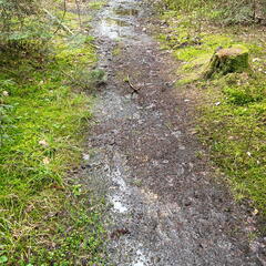 23-04-30 15-03-11 5251